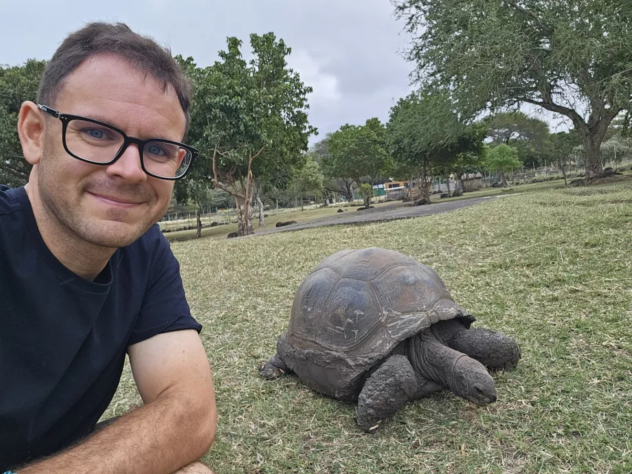 Sköldpaddor i Casela Zoo