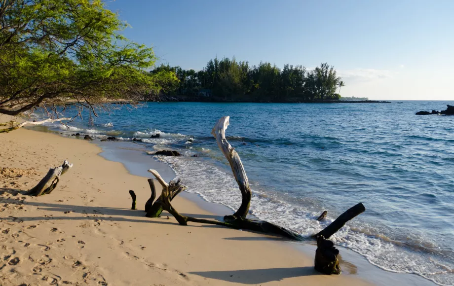 Waialea strand