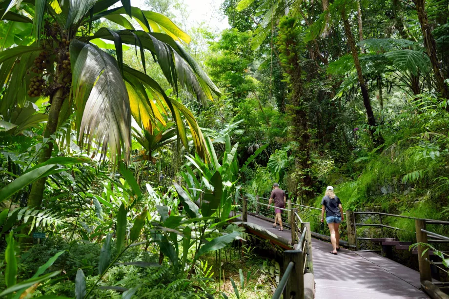 Hawaiis tropiska botaniska trädgård