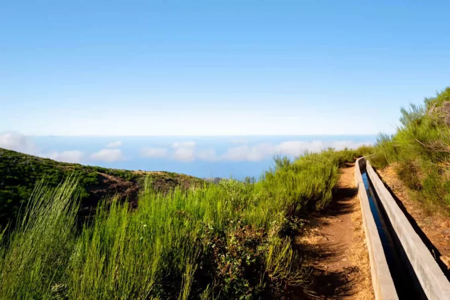 Levada till Paul