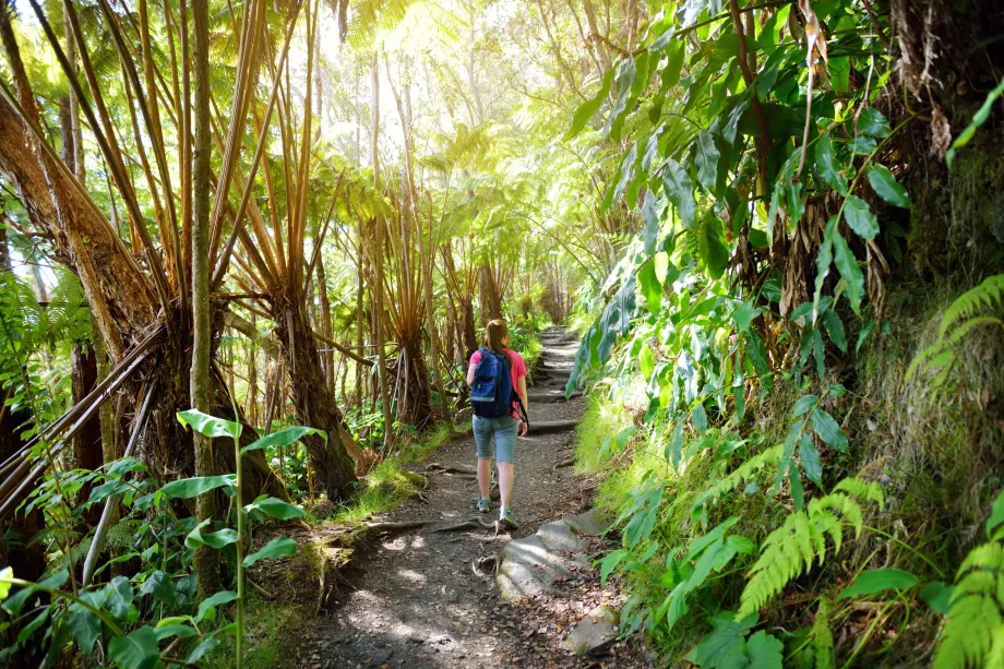 Kilauea Iki Trail