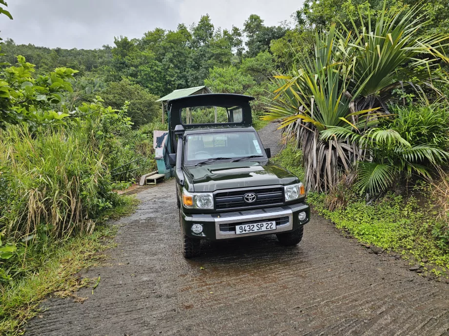 Jeep i Ebony Forest