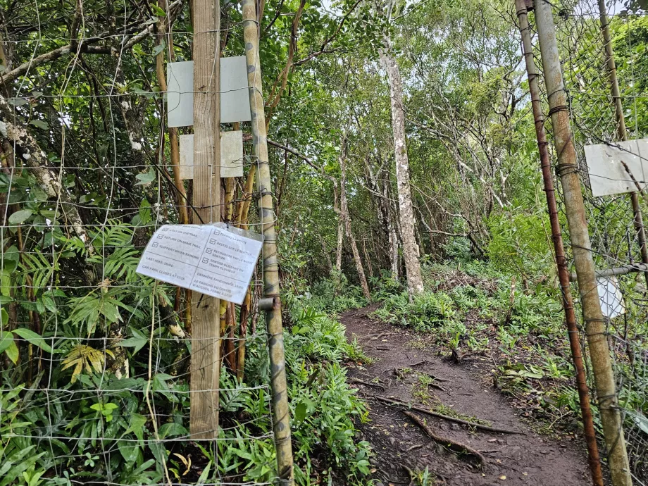 Ingång till Piton du Canot