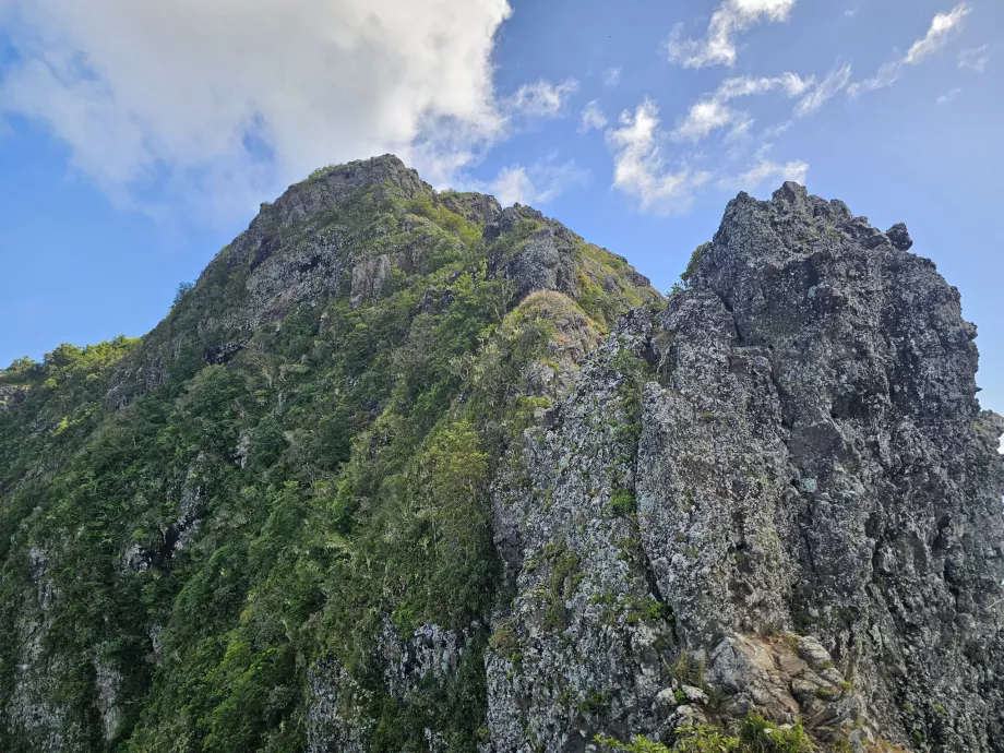Den verkliga höjdpunkten i Le Morne