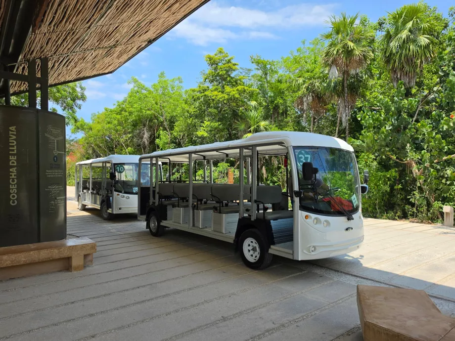 Arkeologiska utgrävningsplatsen i Tulum, transport med elbuss