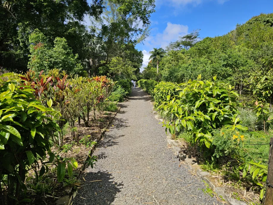Saint Aubin, botanisk trädgård