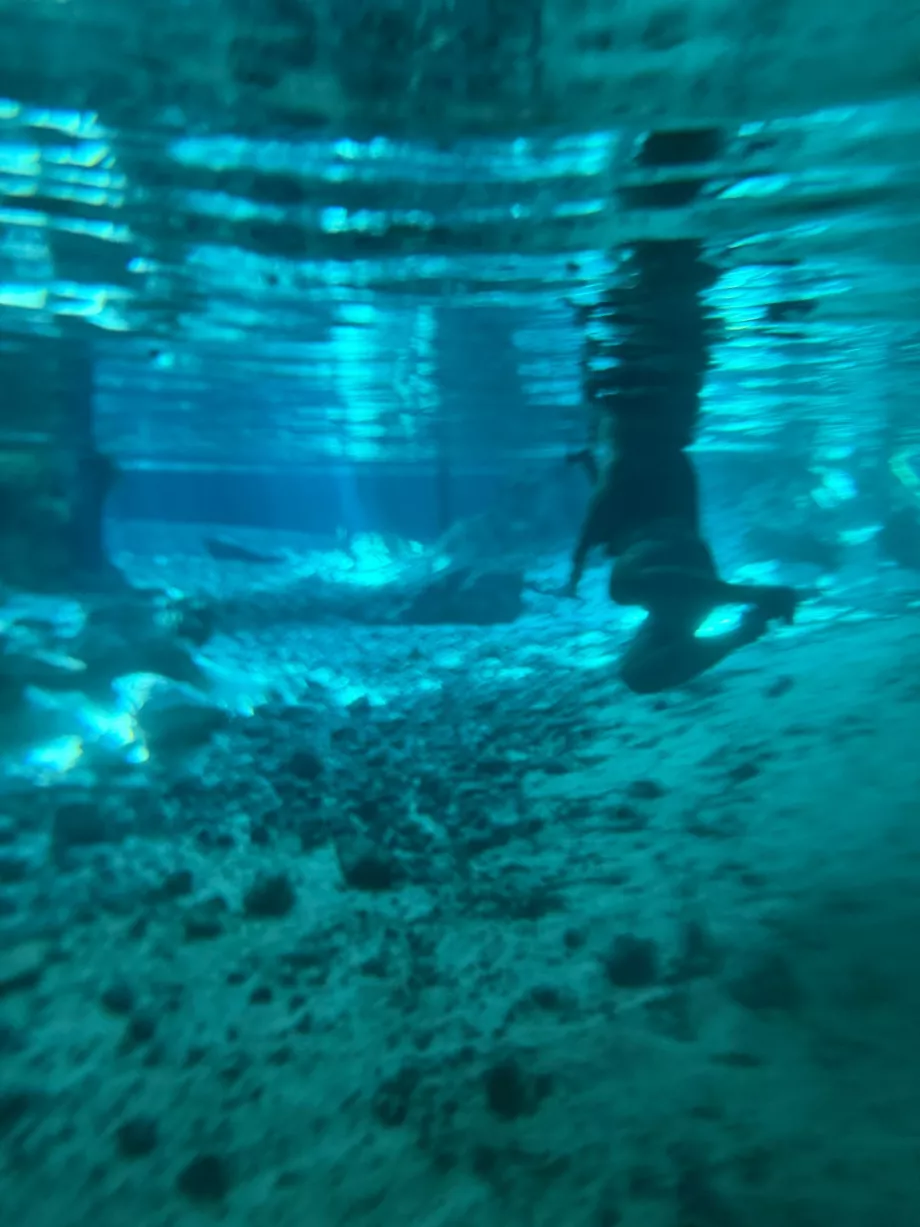 En vy under vattnet vid Gran Cenote