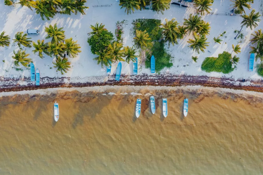 Punta Allen