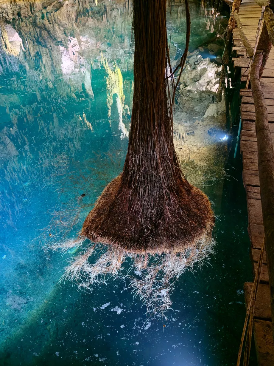 Aktun Chen-grottan