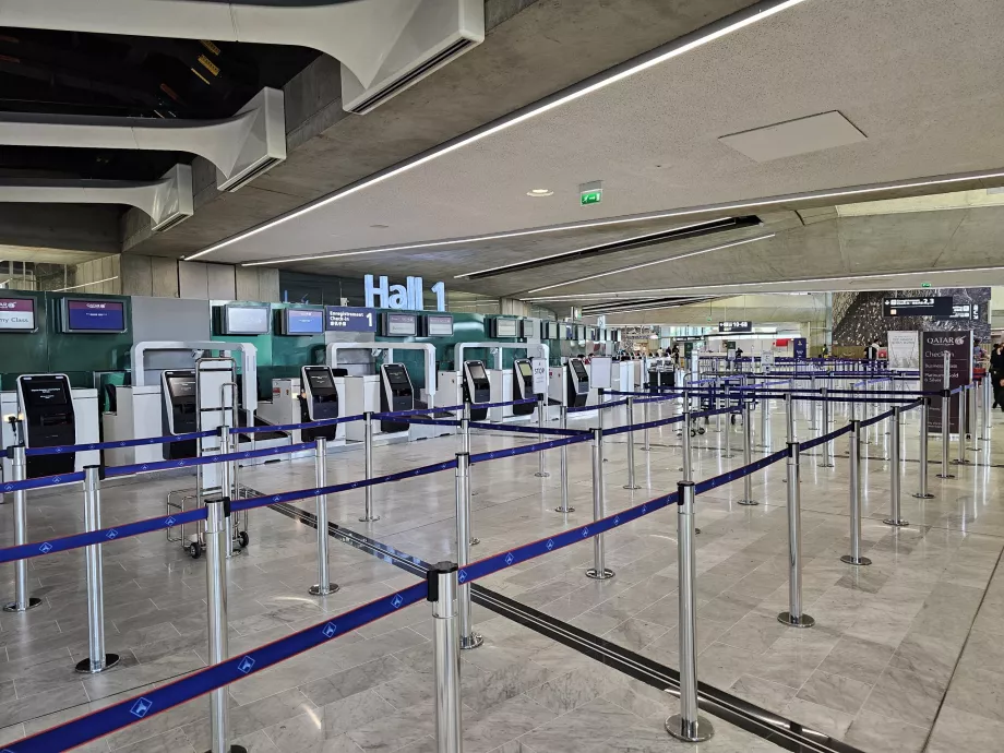 Huvudincheckningsplanet, Terminal 1