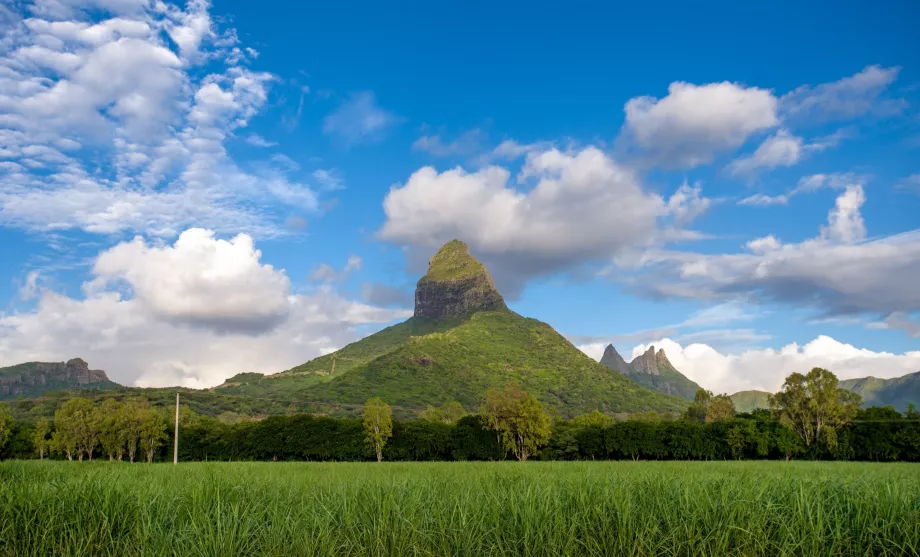 Mauritius berg