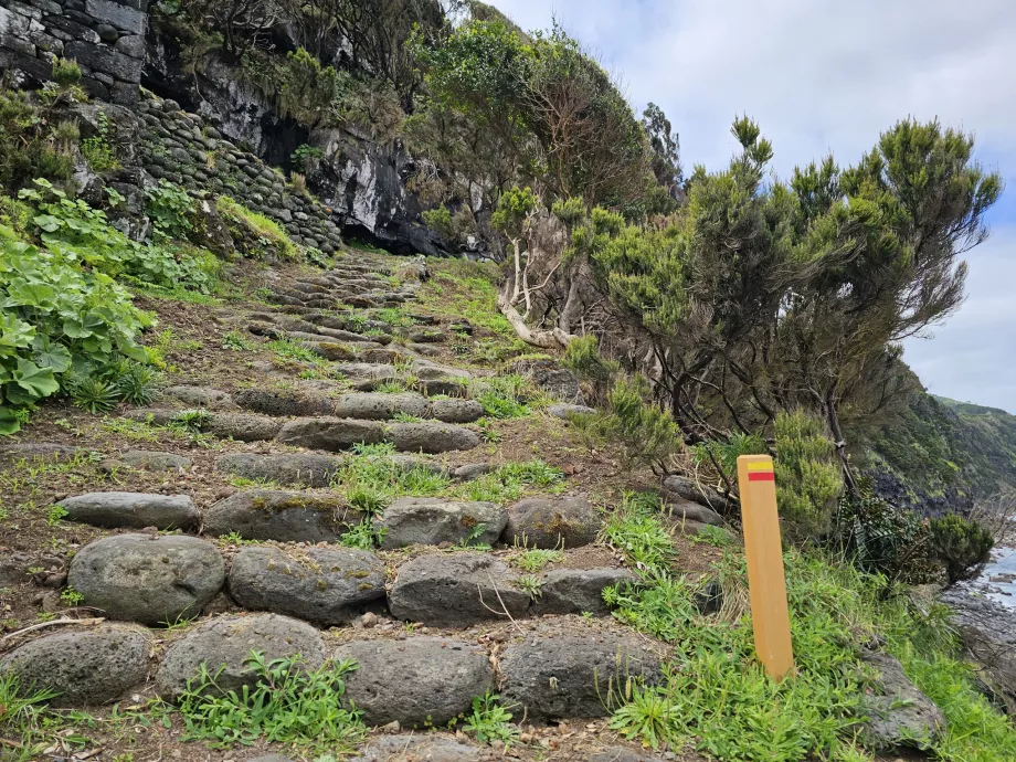 Vandringsled på Pico Island