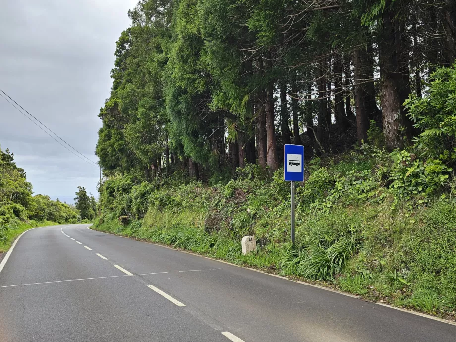 Busshållplats, Pico Island