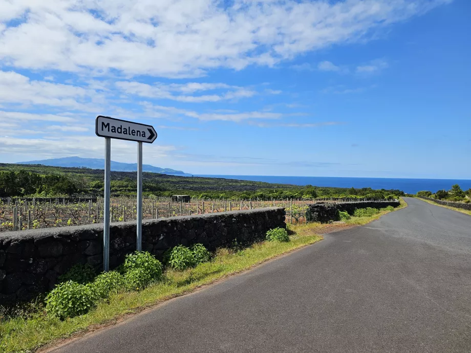 Trafikskyltar, Pico Island
