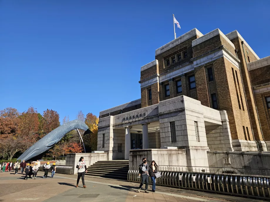 Naturhistoriska museet