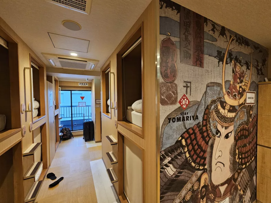 Gemensamt område och kapsel ovan