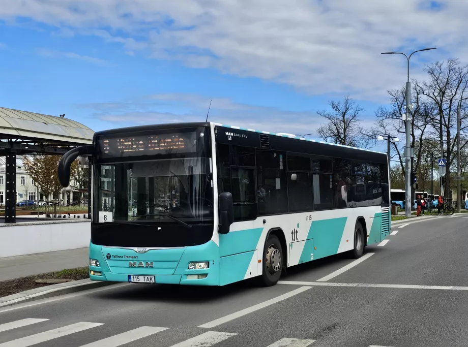 Bussar Tallinn