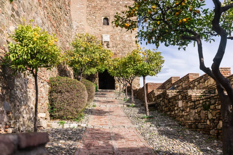 Alcazaba och apelsinträd
