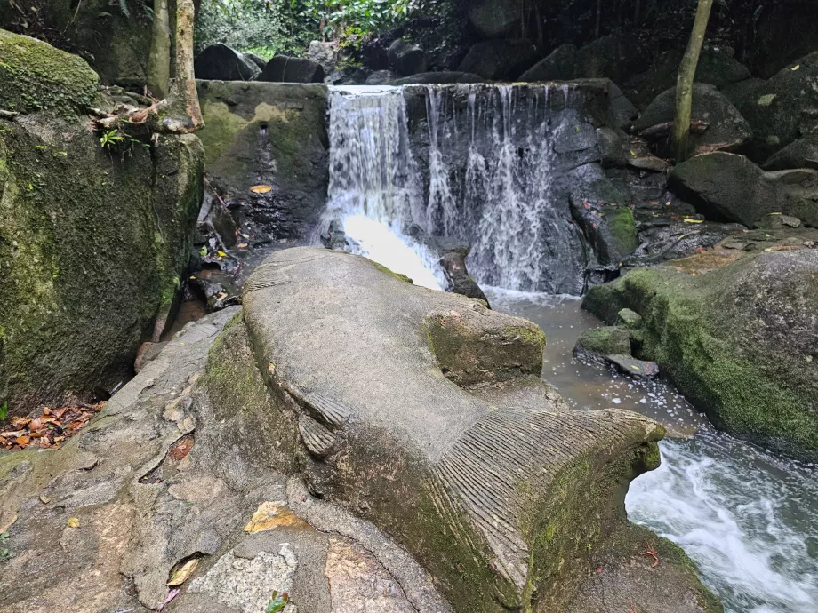 Tamrin Magisk trädgård