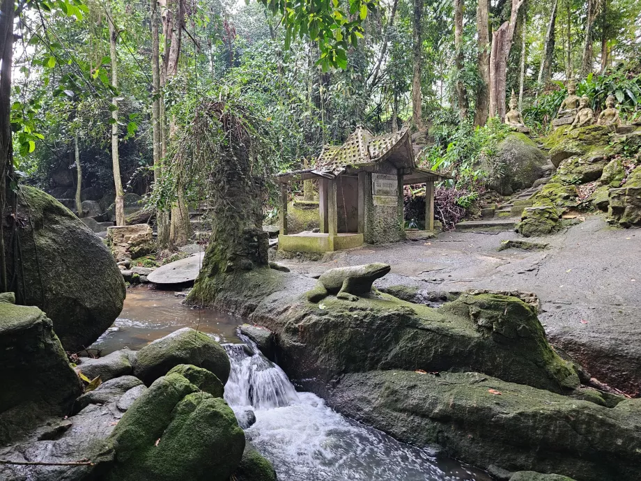 Tamrin Magisk trädgård
