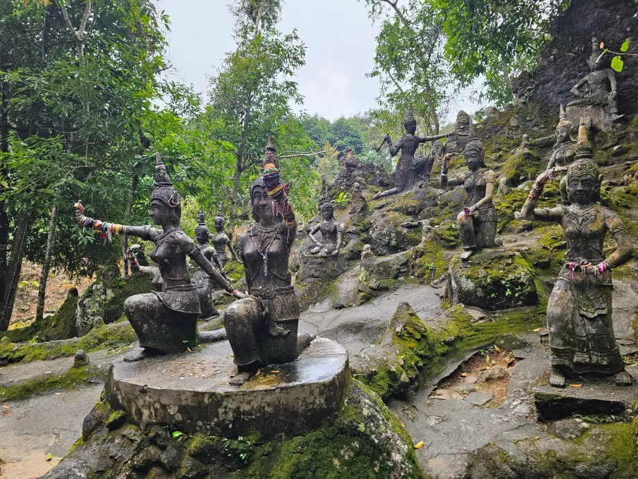 Tamrin Magisk trädgård