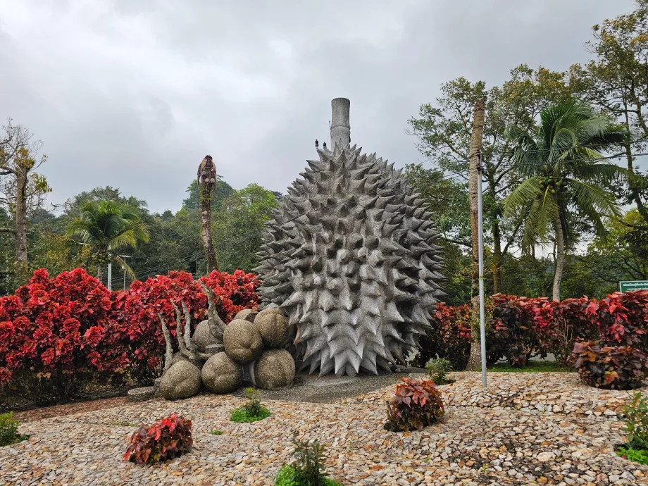 Frukt från magiska stenar