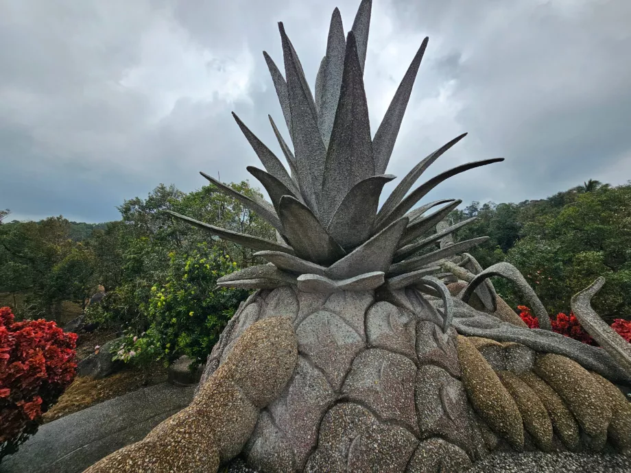 Frukt från magiska stenar