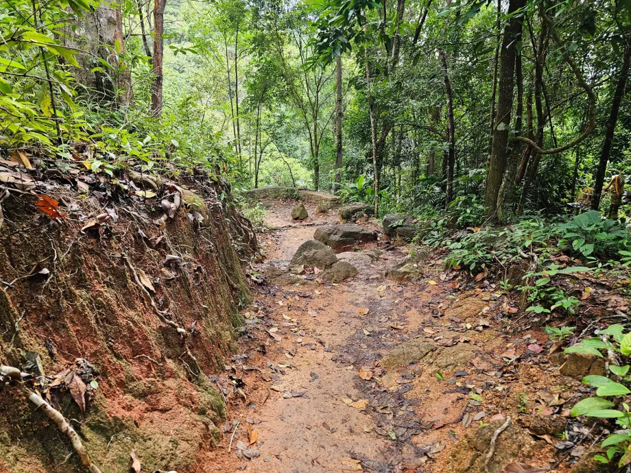 Vägen till Namuang-vattenfallet 2