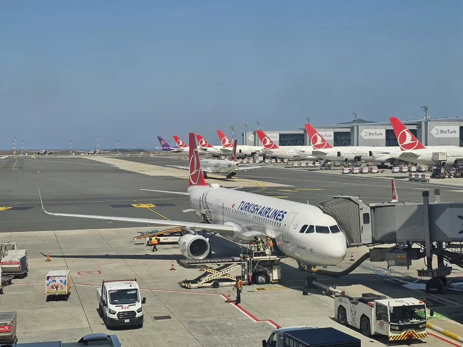 Turkish Airlines flygplan på Istanbuls flygplats
