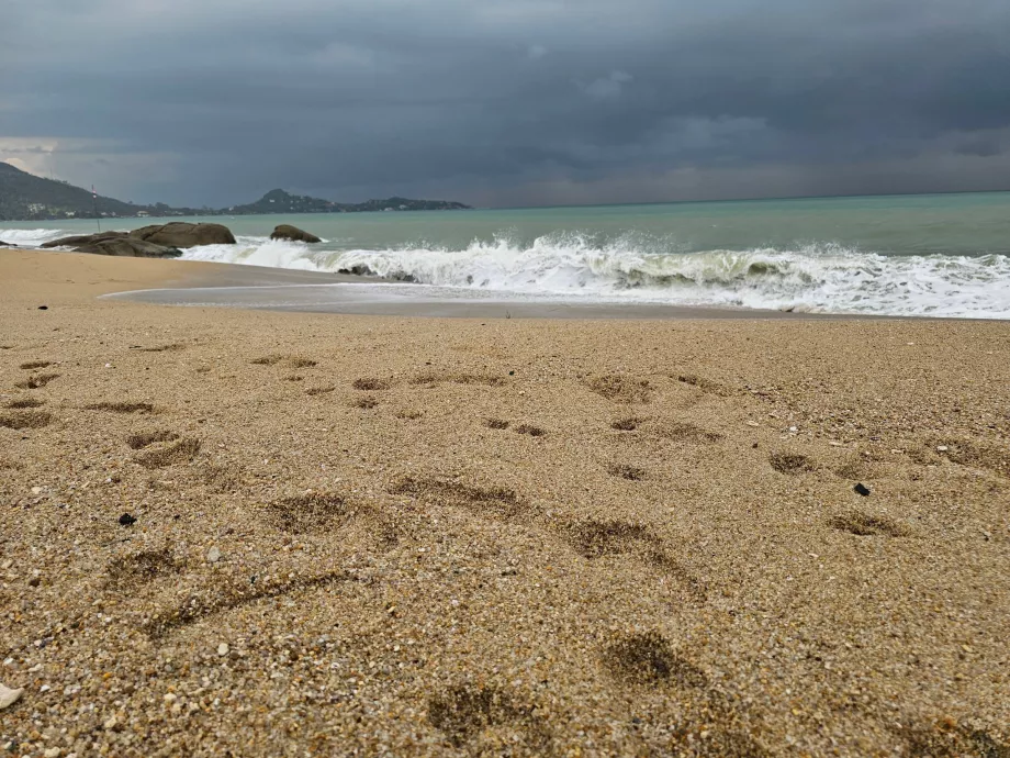 Grovare sand på den södra delen av Lamai Beach