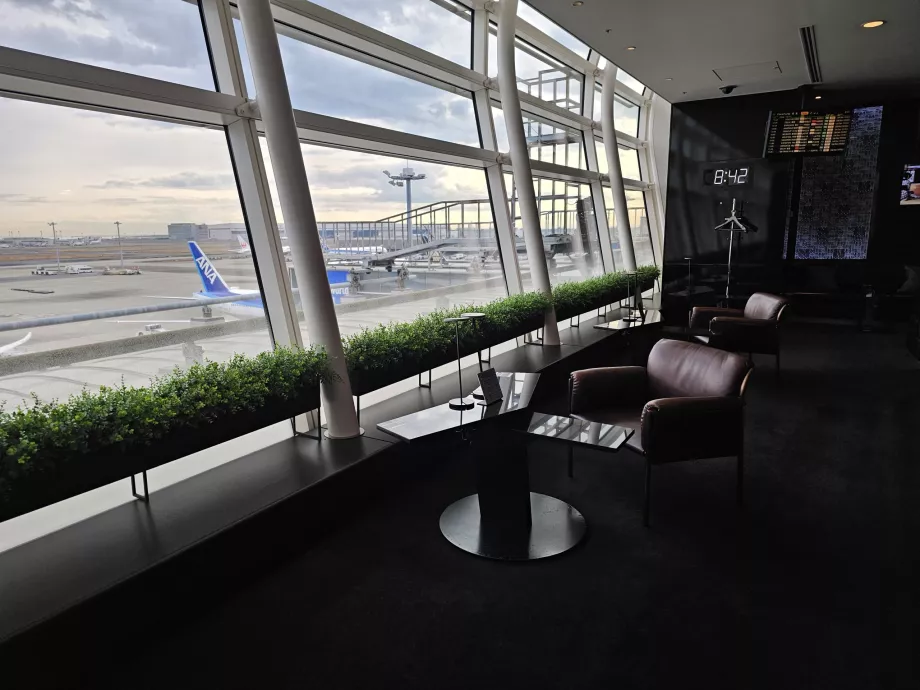 Utsikt över flygfältet