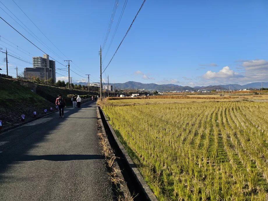 Promenera från stationen till båten