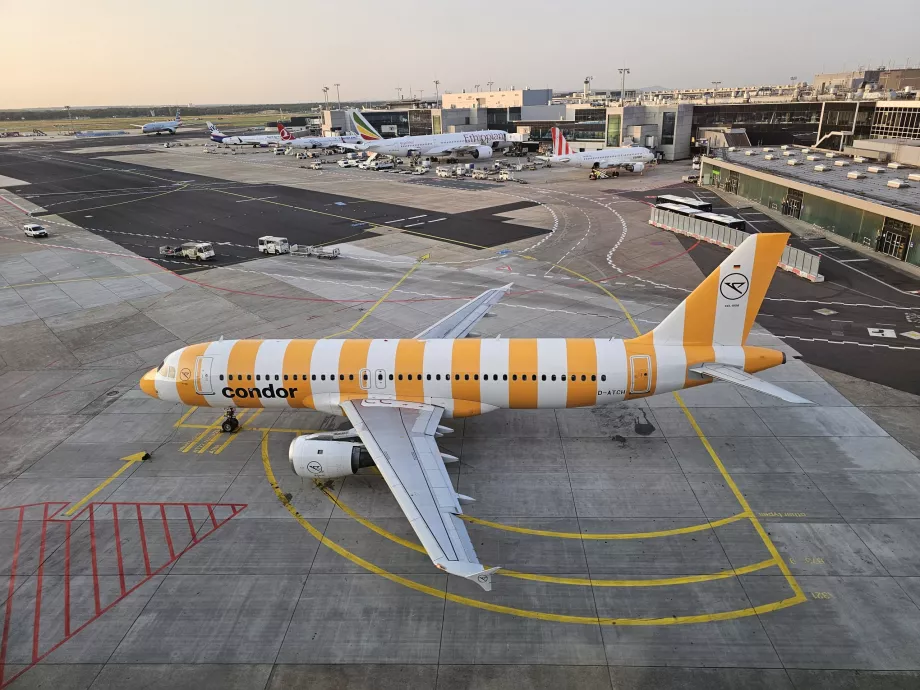 En gul Airbus A320 på Frankfurts flygplats