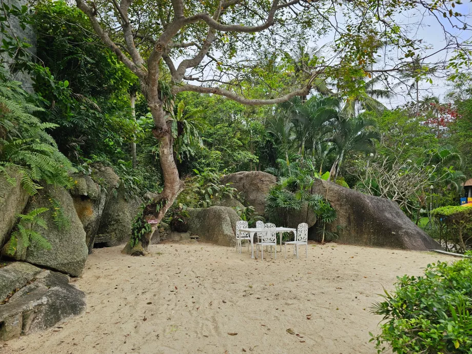 Sitter i trädgården