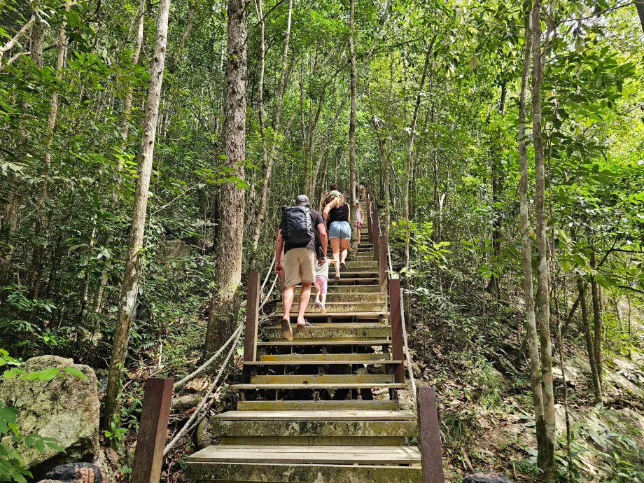 Vägen till vattenfallen