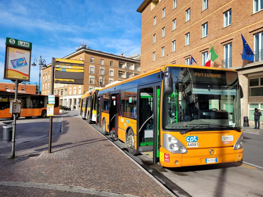 Bussar Pisa