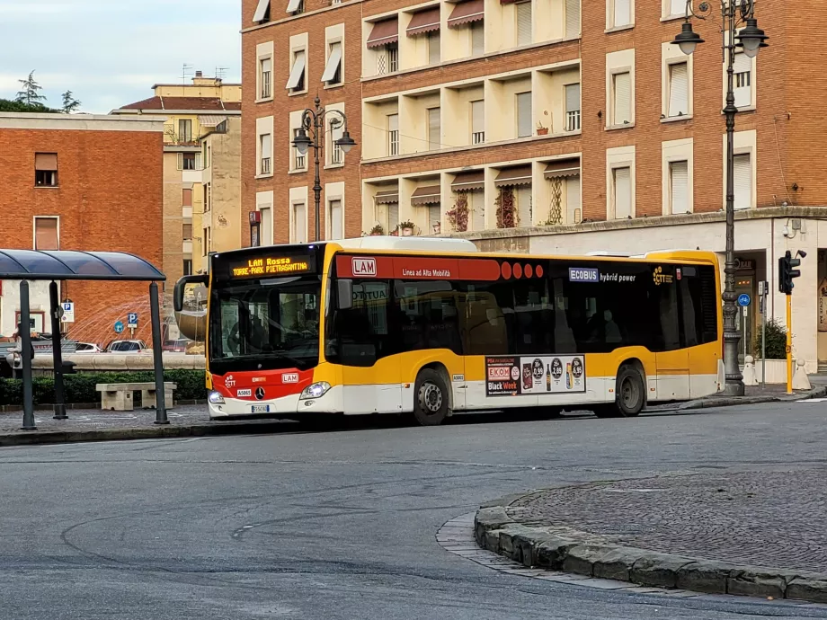 Busslinjer LAM Rossa