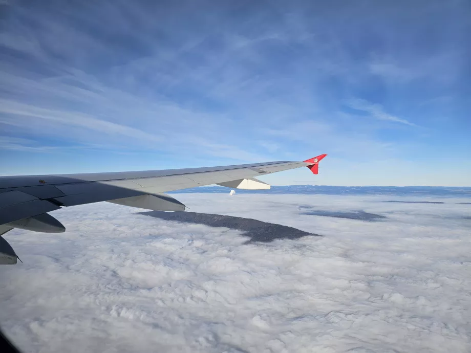 Edelweiss i flygning