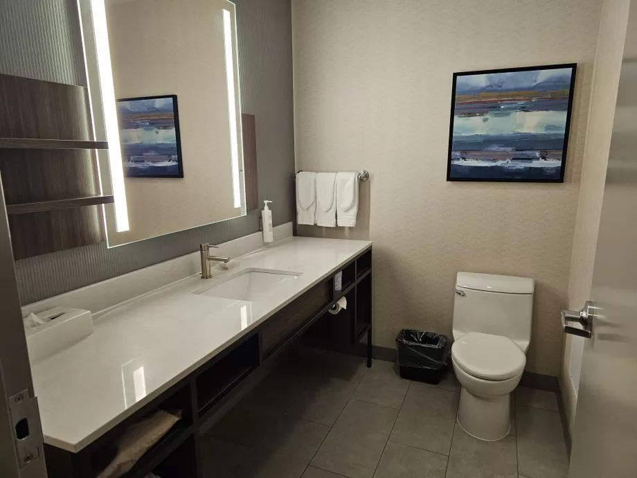 Hilton Garden Inn, badrum