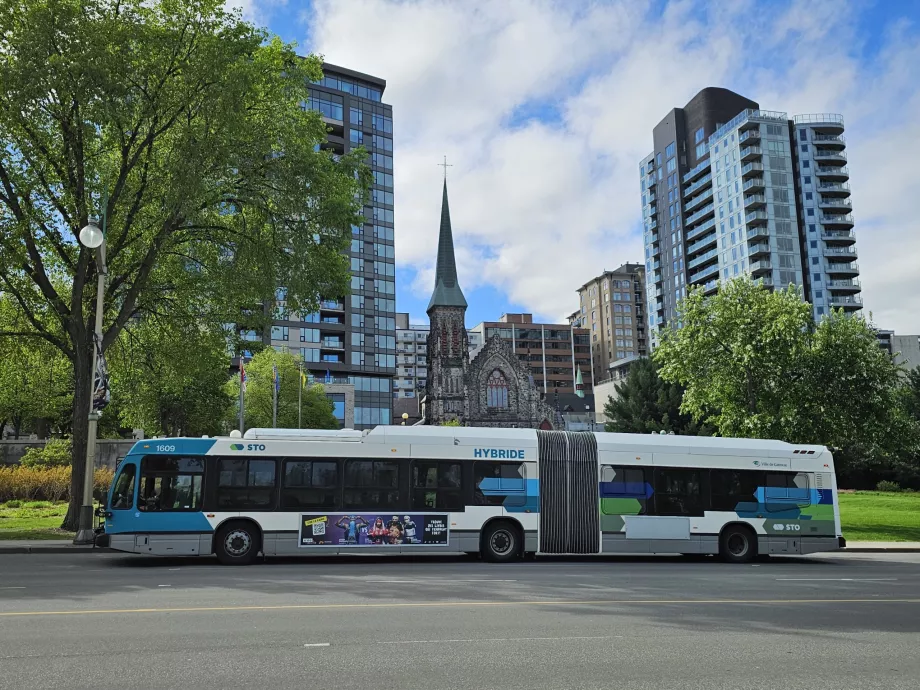 STO-buss