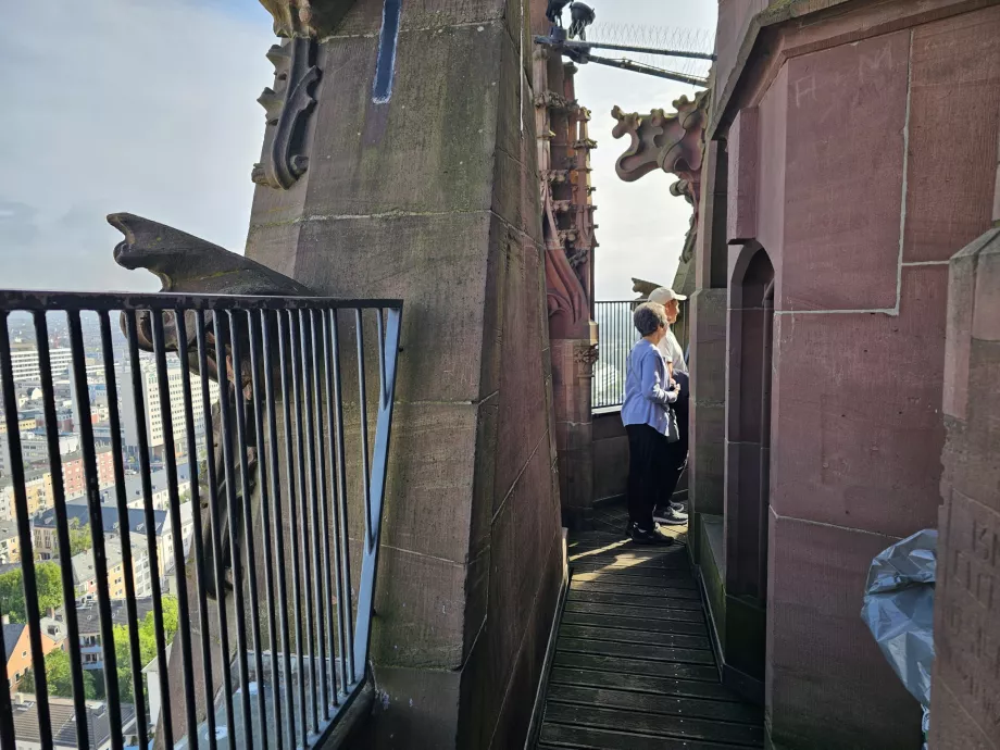 Utsikt från Domturm