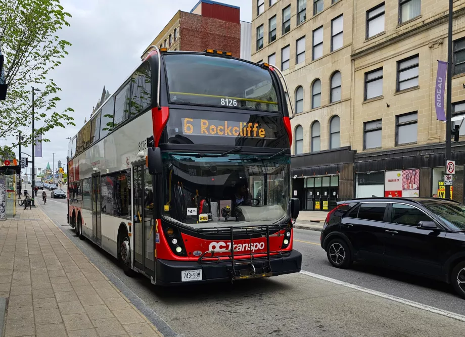 Buss Transpo