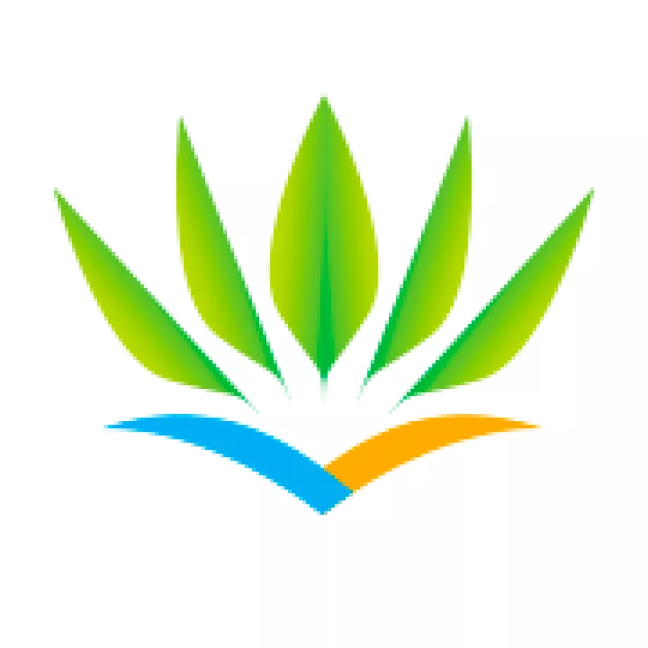 Air Caraibes logotyp