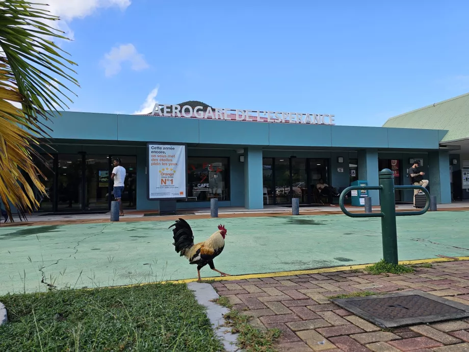 Grand Case Flygplats Terminal