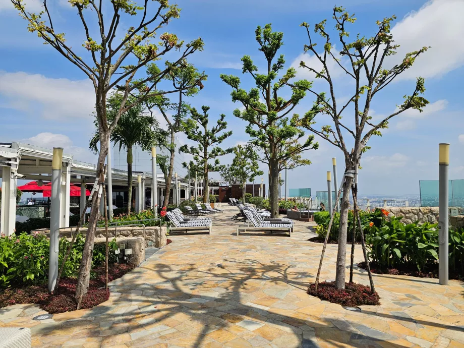 Solstolar på takterrassen på MBS Hotel