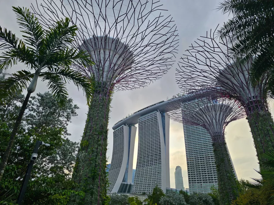 Marina Bay Sands-byggnaden sedd från Gardens by the Bay