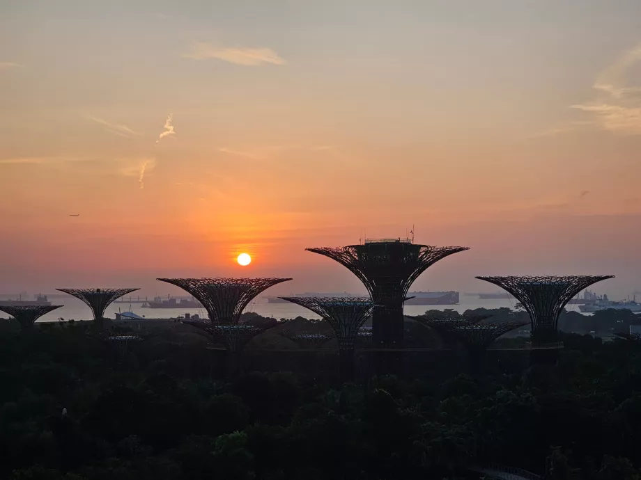 Soluppgång - utsikt från rummet