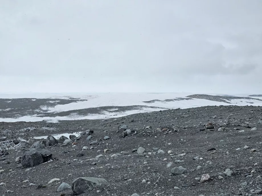 Kangia glaciären