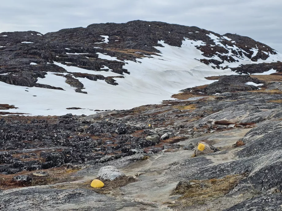 Markeringar, gul vandringsled