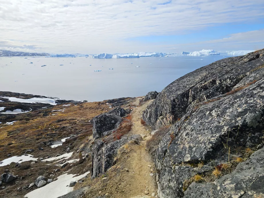 Vandring längs isfjorden